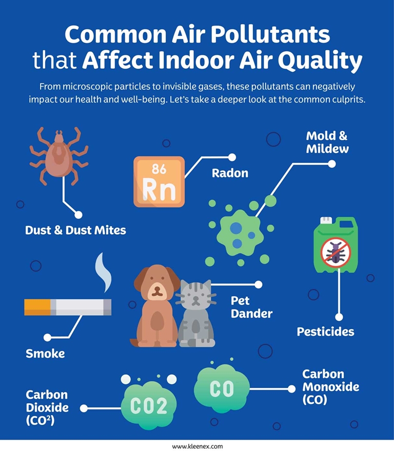 Common air pollutants that affect indoor air quality infographic