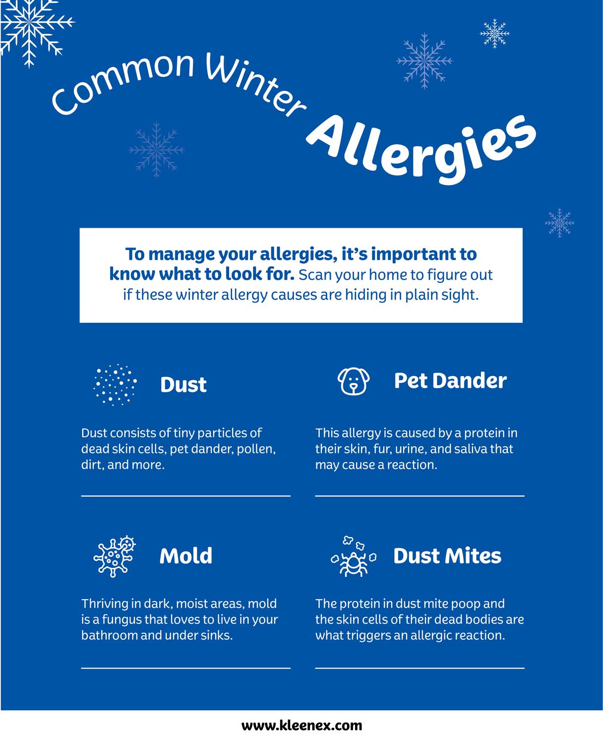 List of common winter allergies