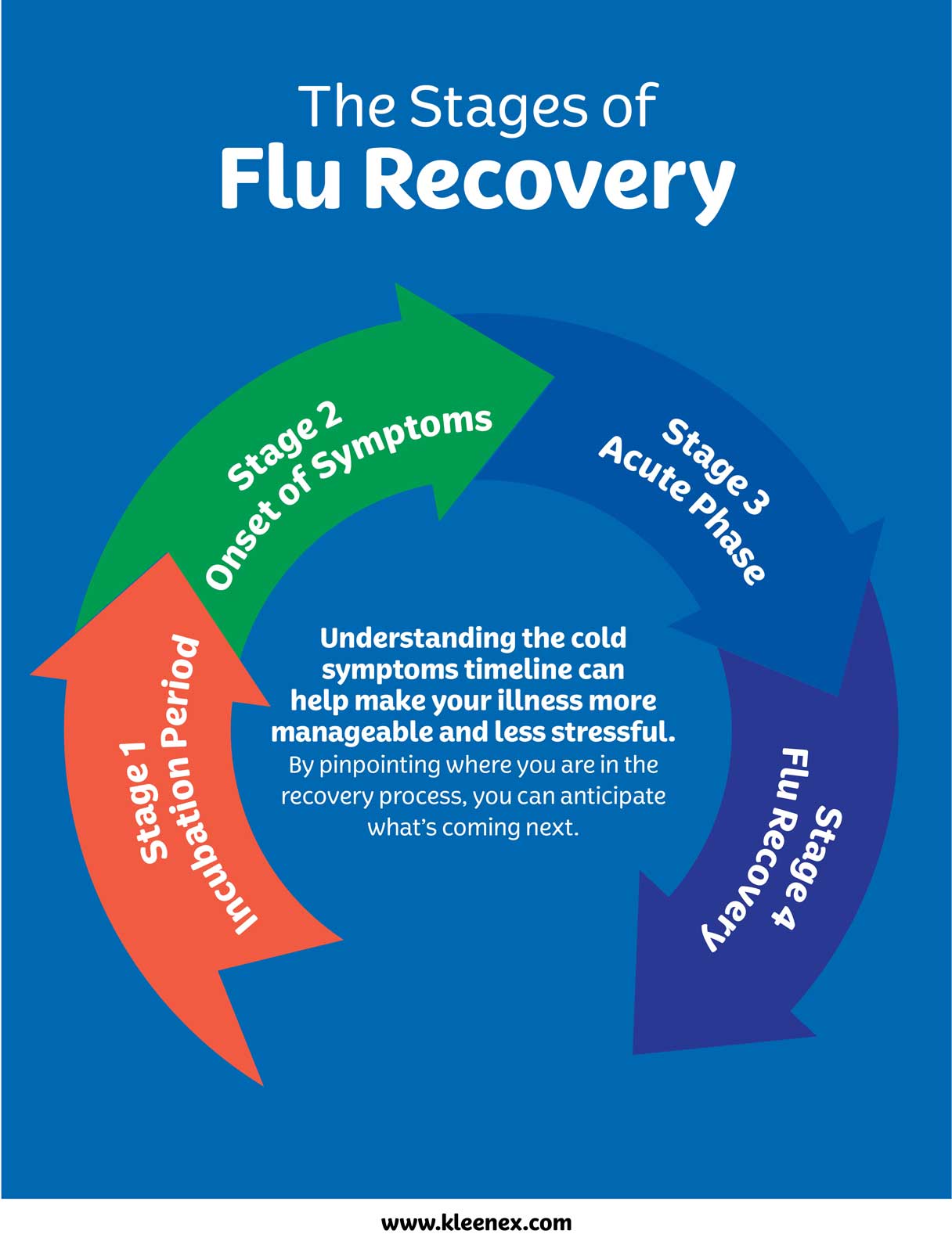 The Stages of Flu Recovery