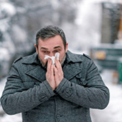 Pollen Allergies Image